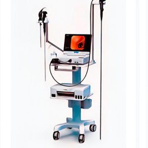 Endoscopia